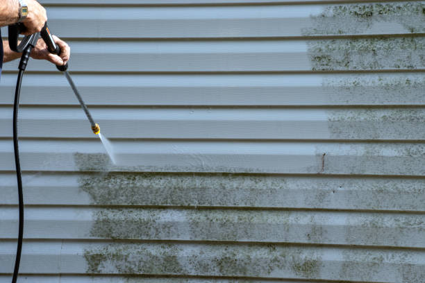 Best Same-Day Junk Removal Services  in Pierceton, IN